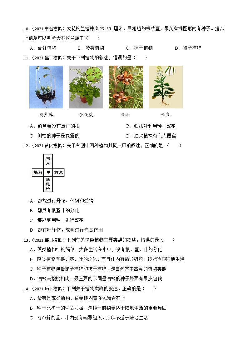 中考生物二轮复习测试专题11 种子植物(原卷+解析)03