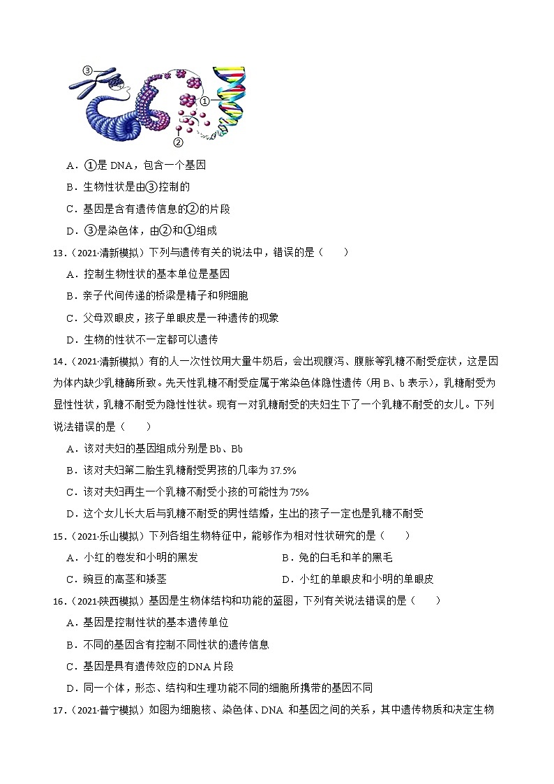 中考生物二轮复习测试专题31 生物的性状与遗传(原卷+解析)03