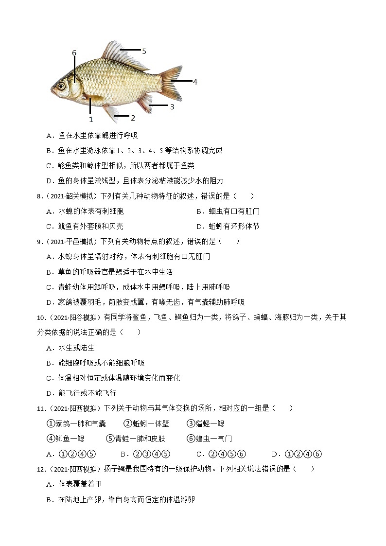 中考生物二轮复习测试专题24 动物的类群(原卷+解析)02