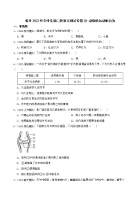 中考生物二轮复习测试专题28 动物的运动和行为(原卷+解析)