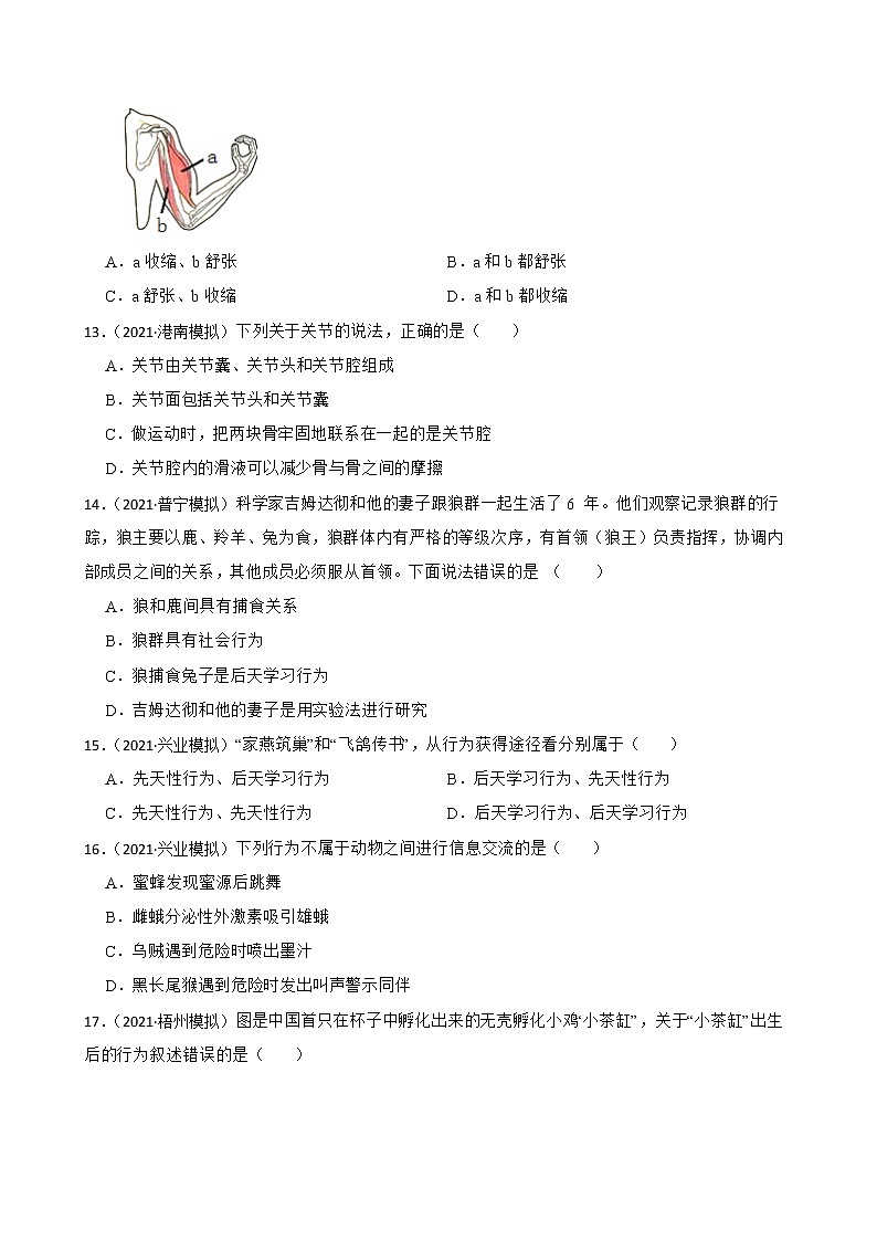 中考生物二轮复习测试专题28 动物的运动和行为(原卷+解析)第3页