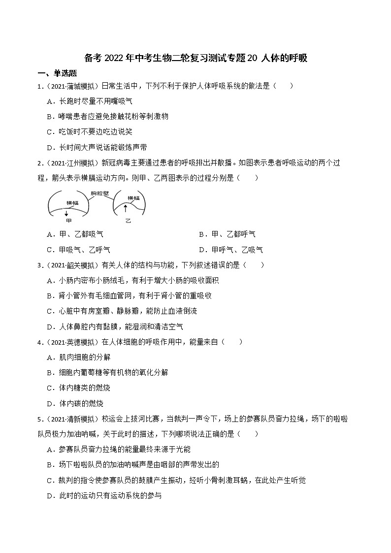 中考生物二轮复习测试专题20 人体的呼吸(原卷+解析)01