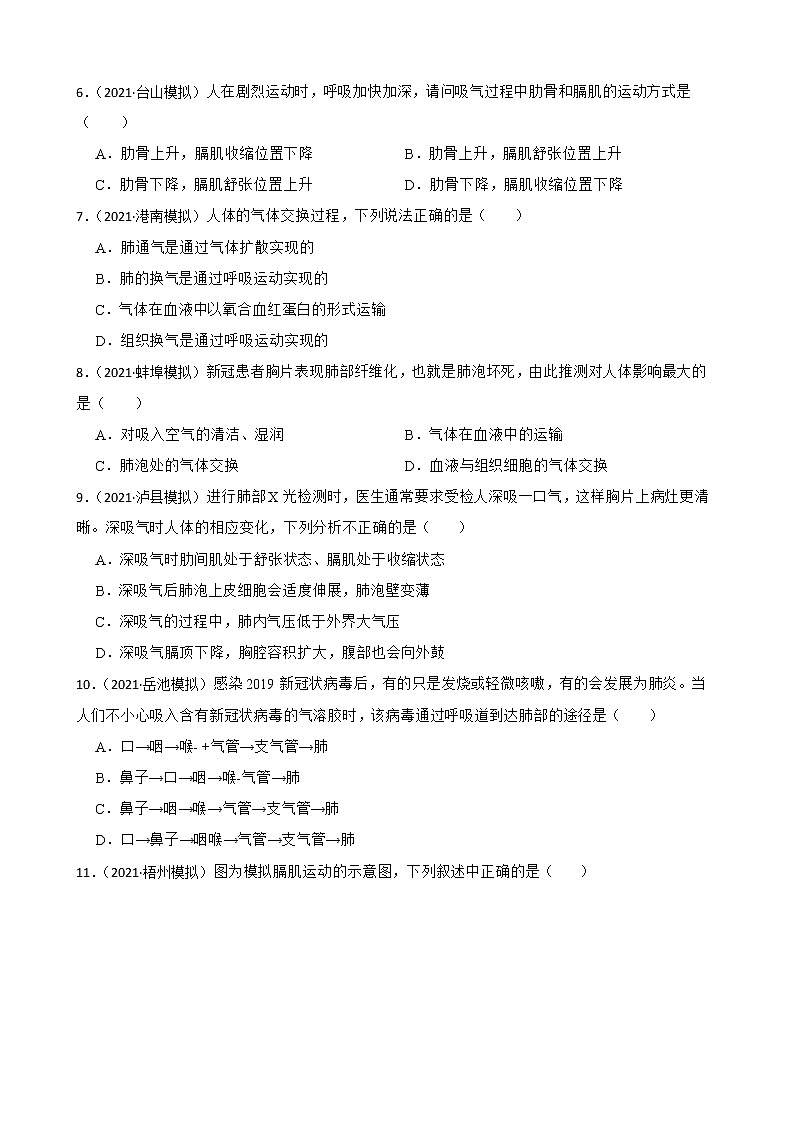 中考生物二轮复习测试专题20 人体的呼吸(原卷+解析)02