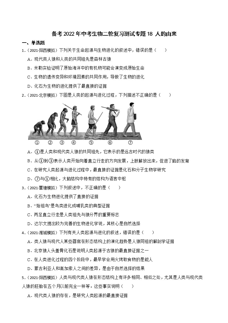 中考生物二轮复习测试专题18 人的由来(原卷+解析)第1页