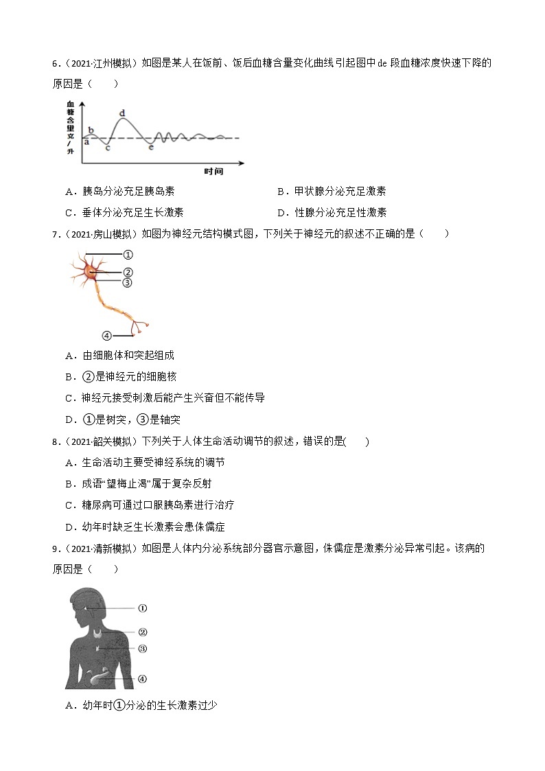 中考生物二轮复习测试专题22 人体生命活动的调节(原卷+解析)第2页