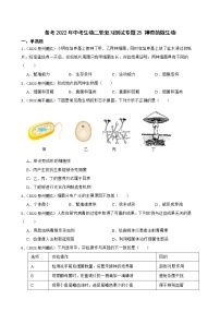 中考生物二轮复习测试专题25 神奇的微生物(原卷+解析)