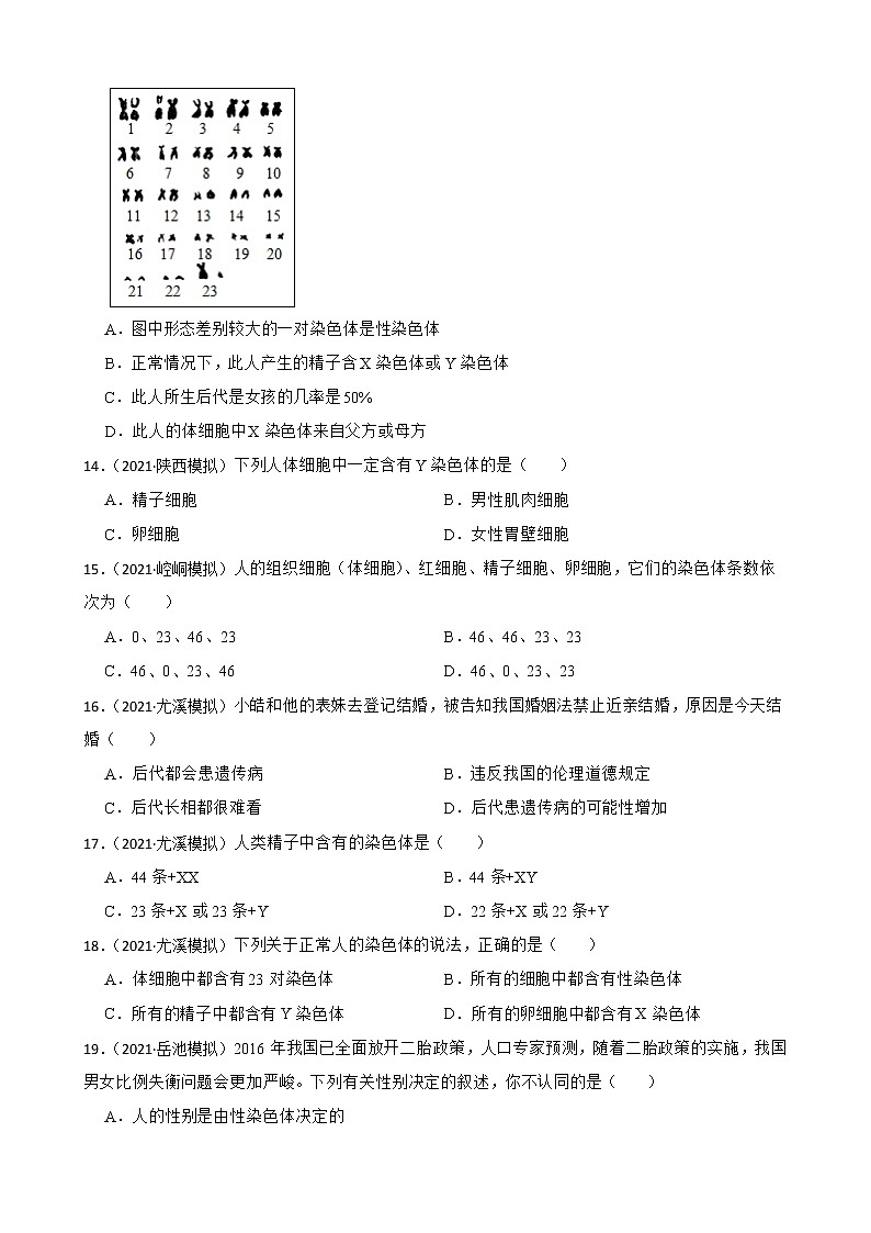 中考生物二轮复习测试专题32 人的性别决定、遗传病与生物的变异(原卷+解析)第3页