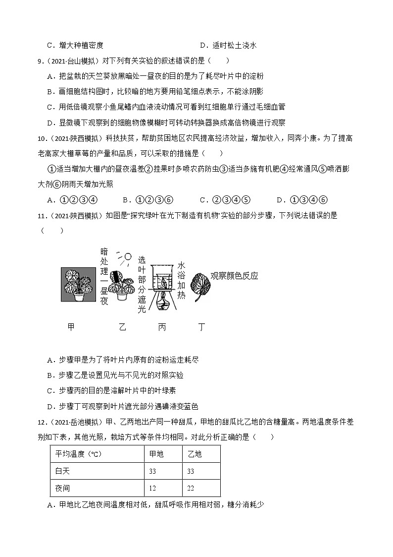中考生物二轮复习测试专题16 植物的光合作用(原卷+解析)第3页