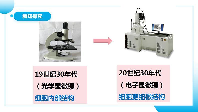 【核心素养目标】人教版 (新课标)初中生物七年级上册2.1.1《练习使用显微镜》课件+教案+同步分层练习（含答案）08