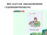 1.1.1生物的特征课件PPT