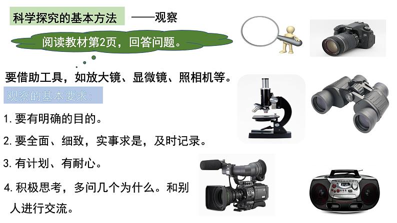 1.1.1生物的特征课件PPT第2页