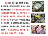 1.1.1生物的特征课件PPT