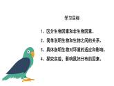 1.2.1生物与环境的关系课件PPT