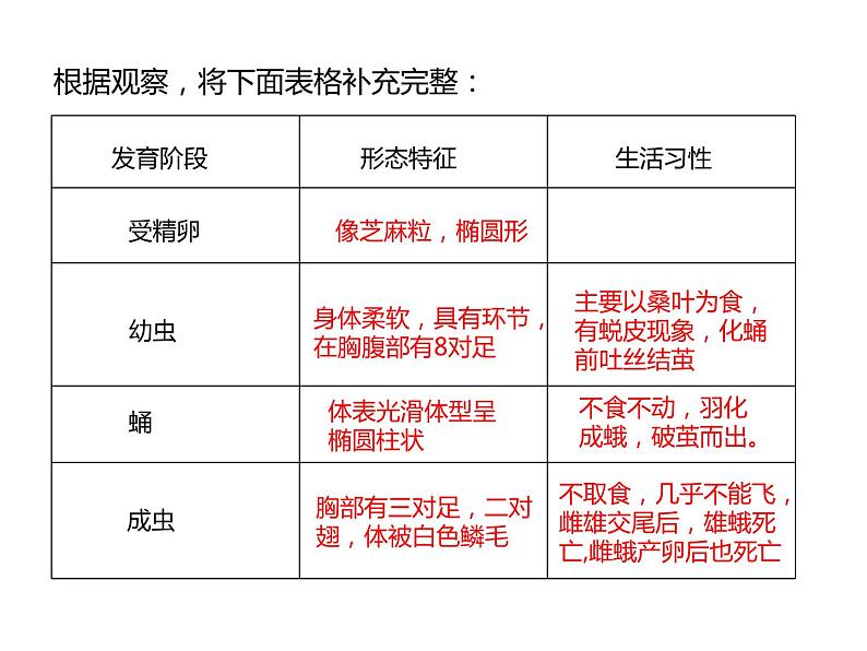 冀教版八下生物 6.1.2动物的生殖发育 课件06