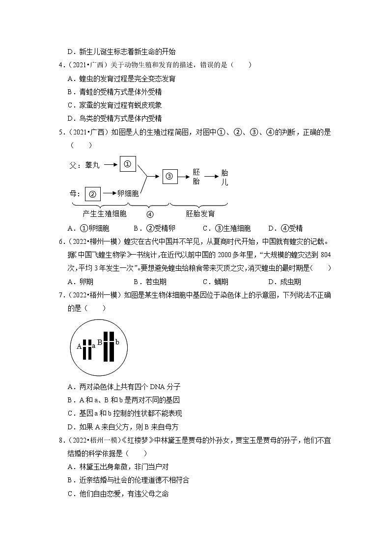2022年广西中考生物二轮专题练6-生物的生殖、发育与遗传（有答案）02