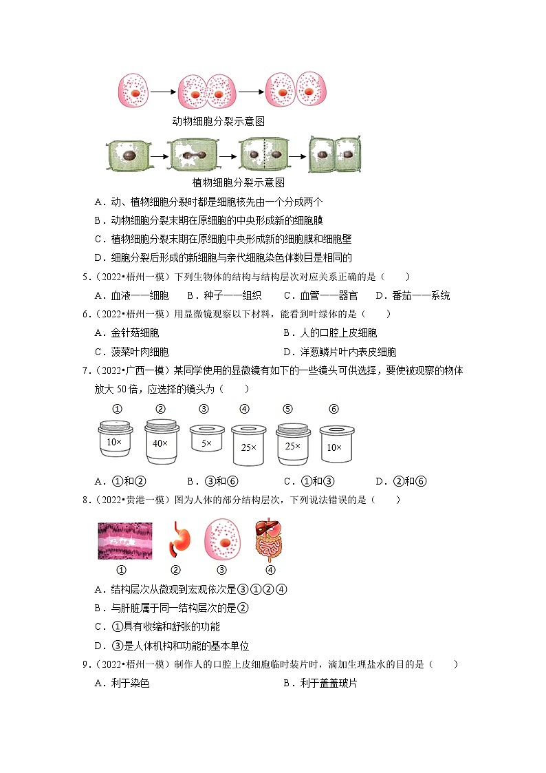 2022年广西中考生物二轮专题练1-生命体的结构层次（有答案）02