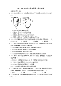 2022年广西中考生物二轮专题练3-绿色植物（有答案）