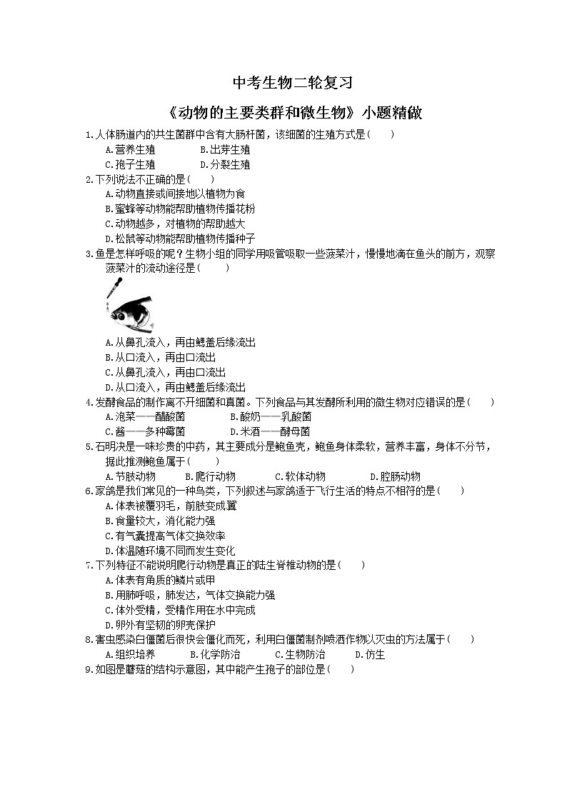 中考生物二轮复习《动物的主要类群和微生物》小题精做（含答案）第1页