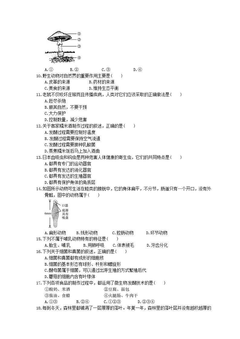 中考生物二轮复习《动物的主要类群和微生物》小题精做（含答案）第2页