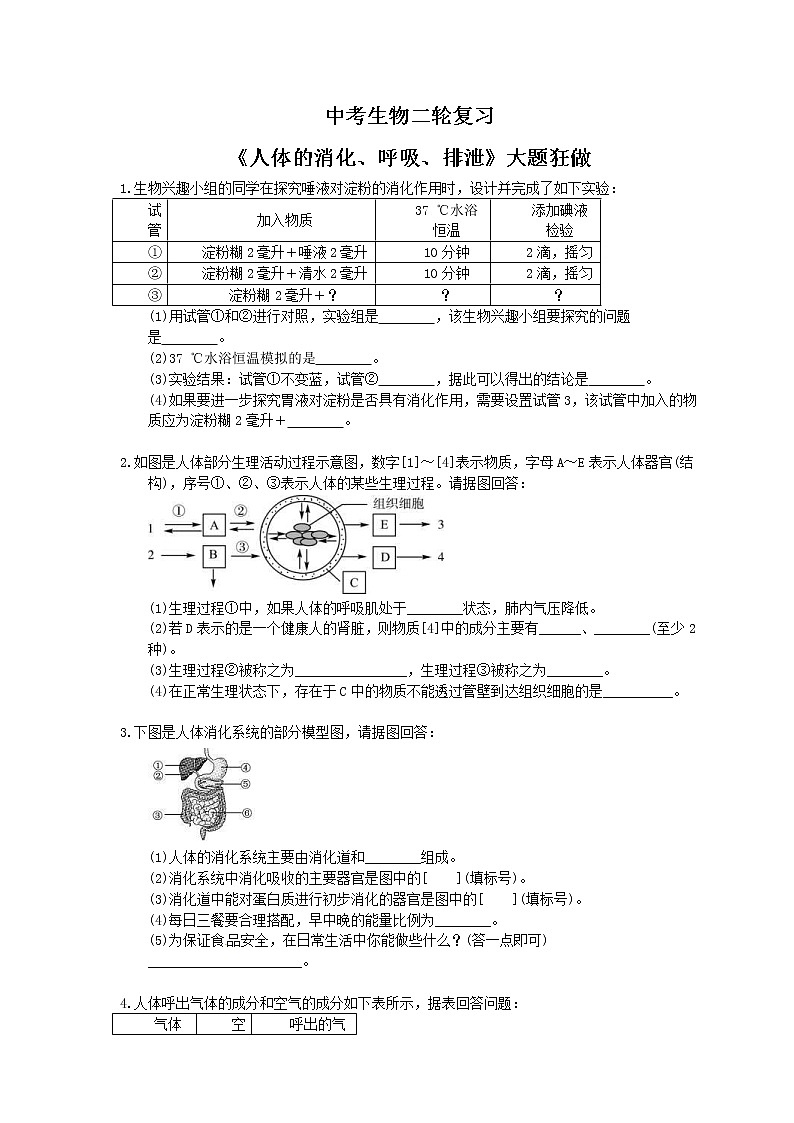 中考生物二轮复习《人体的消化、呼吸、排泄》大题狂做（含答案）第1页