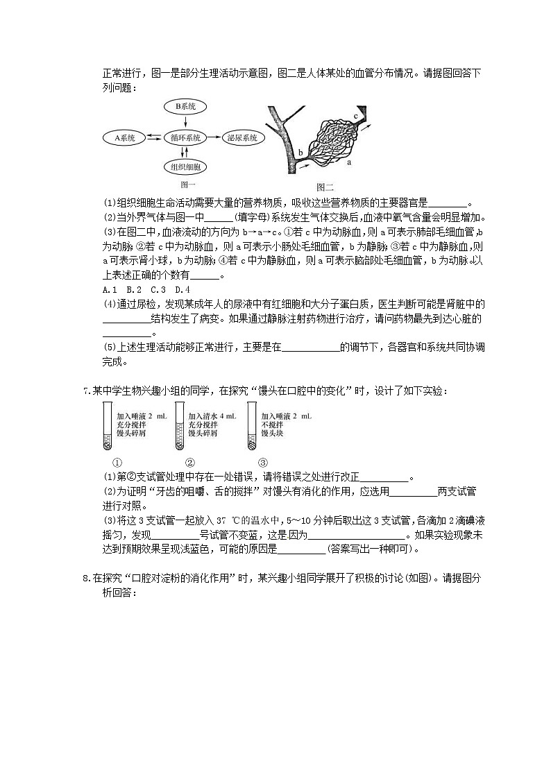 中考生物二轮复习《人体的消化、呼吸、排泄》大题狂做（含答案）第3页