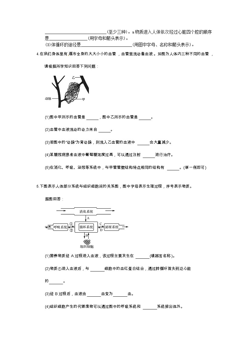 中考生物二轮复习《人体内的物质运输》大题狂做（含答案）第2页