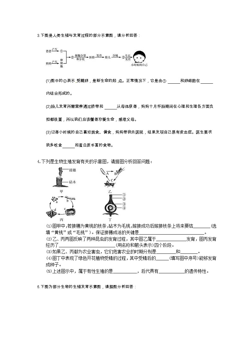中考生物二轮复习《生物的生殖和发育》大题狂做（含答案）第2页