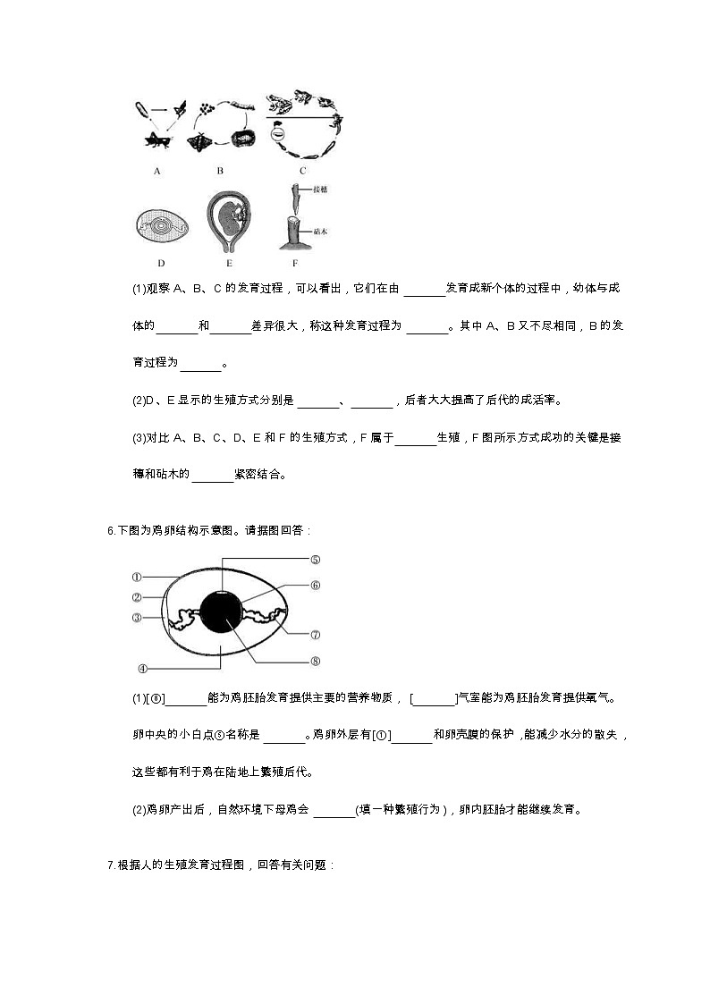 中考生物二轮复习《生物的生殖和发育》大题狂做（含答案）第3页