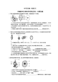 中考生物二轮复习《细胞和生物体的结构层次》大题狂做（含答案）