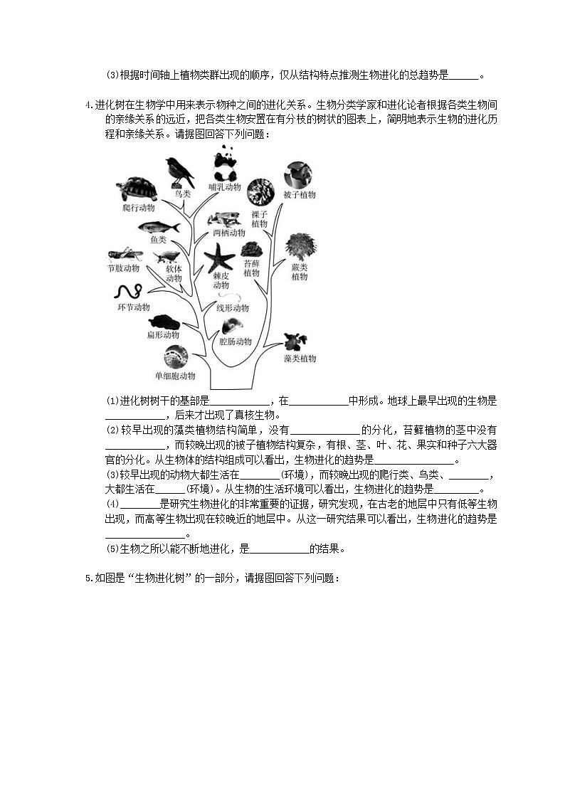 中考生物二轮复习《生物的进化》大题狂做（含答案）第2页