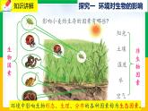 1.2《生物与环境的相互影响》课件PPT+教案+同步练习