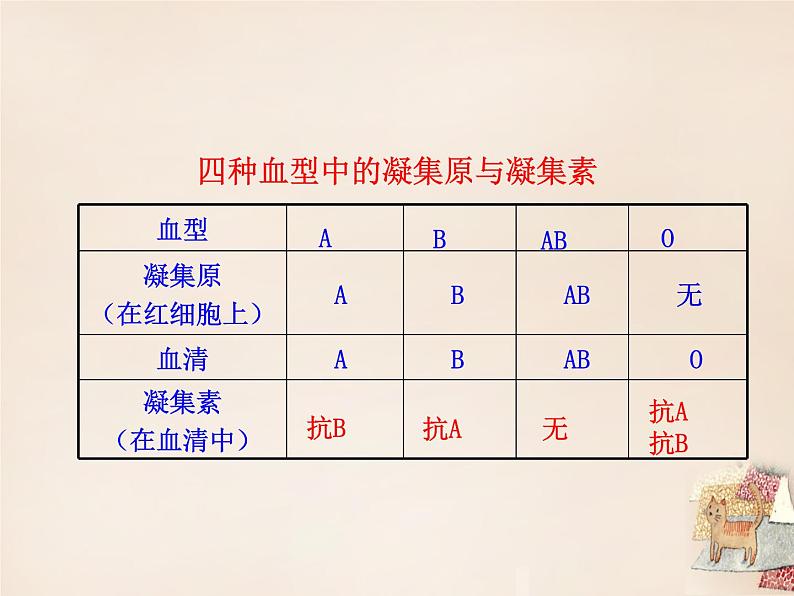 北京版七下生物 5.2.2 血量血型 课件07