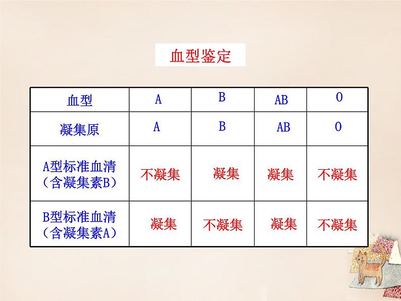 北京版七下生物 5.2.2 血量血型 课件08