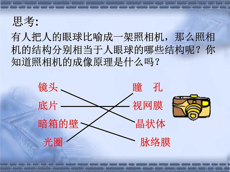 北师大版七下生物 12.2感受器和感受器官 课件第6页