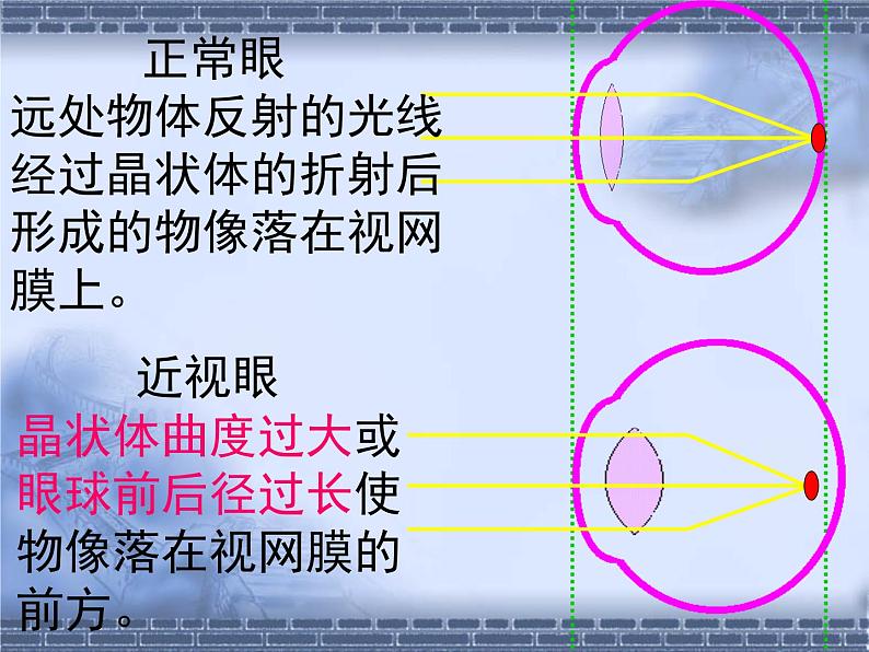 北师大版七下生物 12.2感受器和感受器官 课件第8页