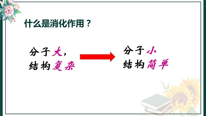 初中生物苏科版七年级上册 人体对食物的消化和吸收部优课件04