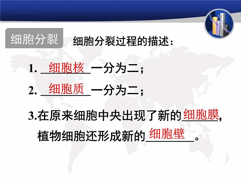 初中生物苏教版七年级上册 细胞分裂与分化部优课件05