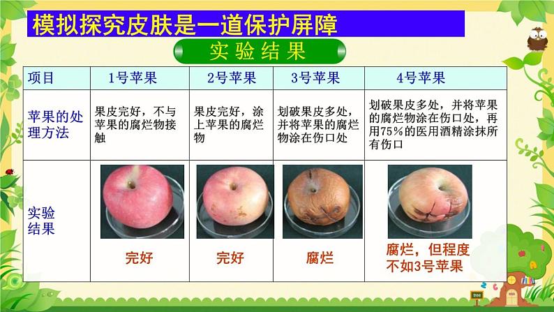 苏科版八年级下册生物 24.1人体的免疫防线 课件08