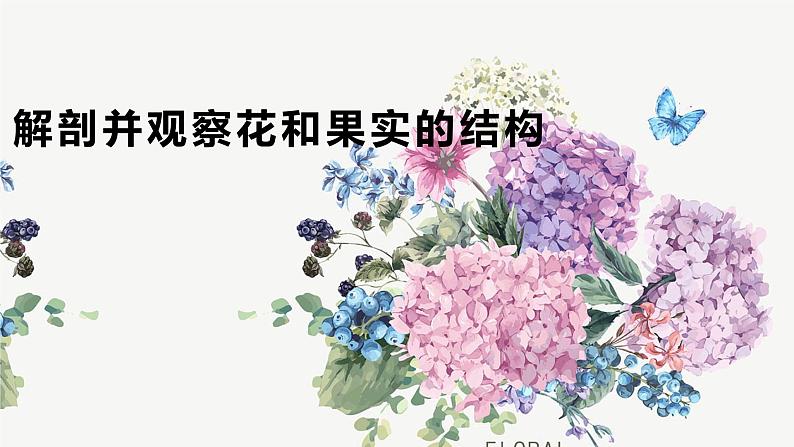 初中生物沪教版八下《解剖并观察花和果实的结构》课件第1页