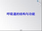 北京版七下生物  6.1.1 呼吸道的结构与功能  课件