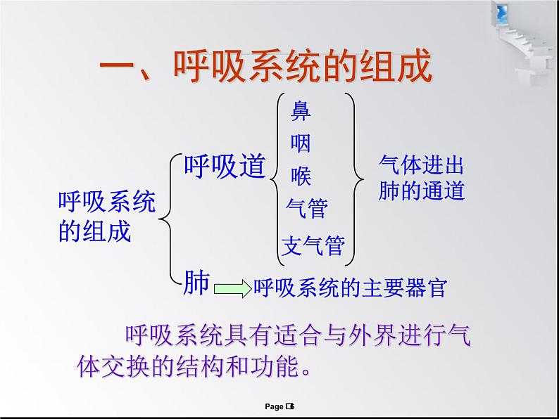 北京版七下生物  6.1.1 呼吸道的结构与功能  课件06