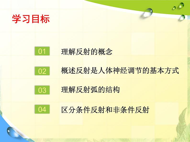 七年级下册  反射是神经系统活动的基本方式课件PPT第3页