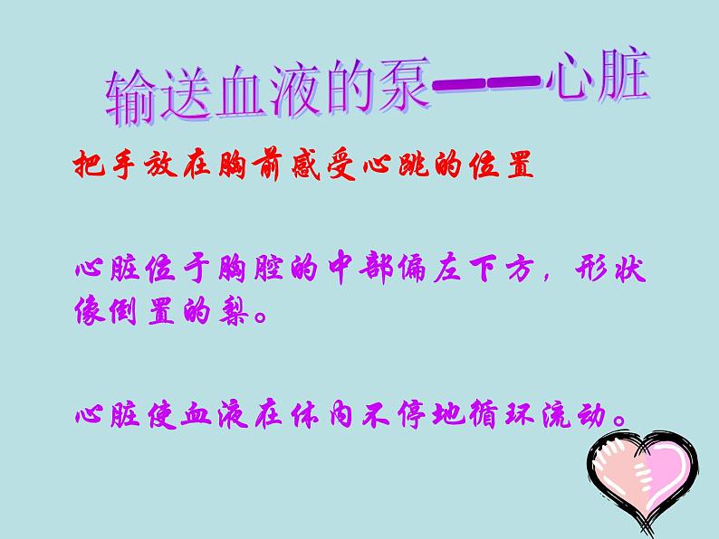 苏教版七年级下册生物 10.2人体的血液循环 课件08