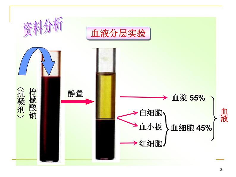 人教版七下生物 4.1流动的组织 血液 课件第3页