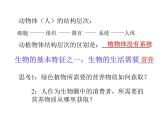 人教版七下生物 第2单元 复习课件