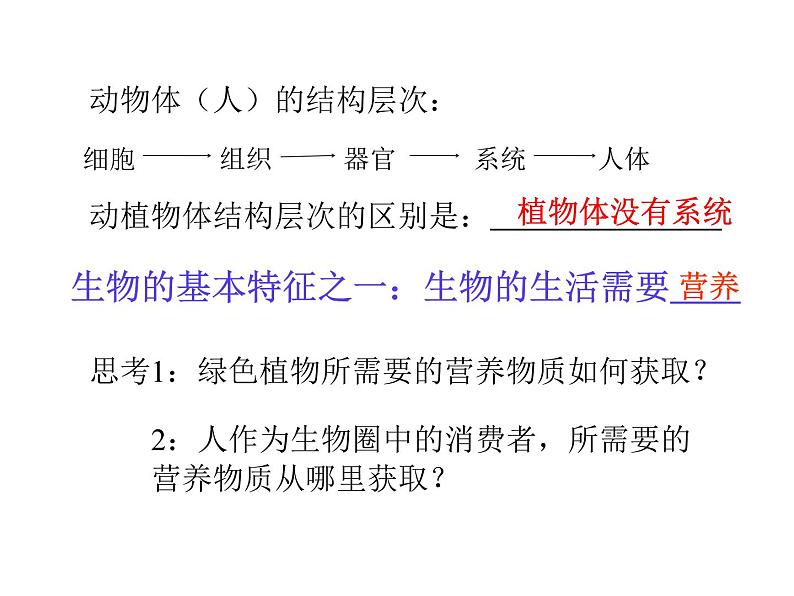 人教版七下生物 第2单元 复习课件第2页