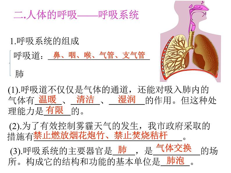 人教版七下生物 第2单元 复习课件第7页