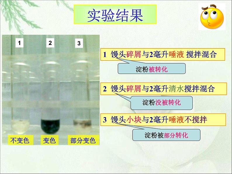 人教版七下生物 2.2消化和呼吸 课件第6页