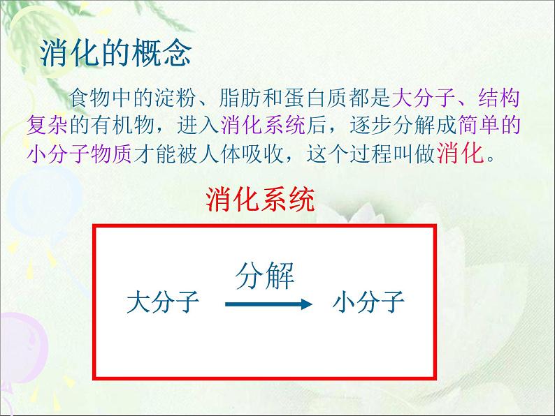 人教版七下生物 2.2消化和呼吸 课件第8页