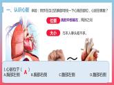 2022人教版生物七下第四章第三节输送血液的泵——心脏课件PPT